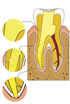 FIGURE 19B