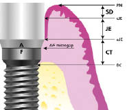 1000359124 1000359138 Oral Health Group