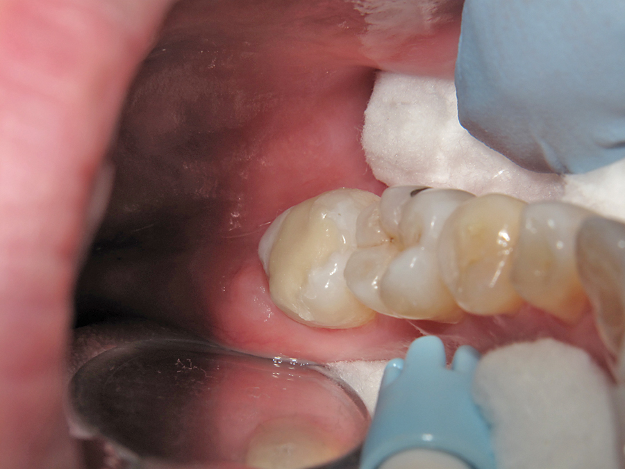 10007385921000738605 Oral Health Group