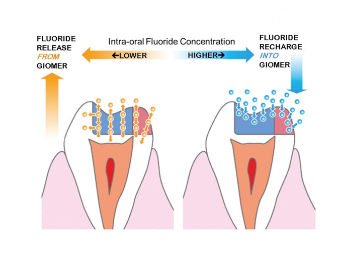 10019031481001903553 Oral Health Group