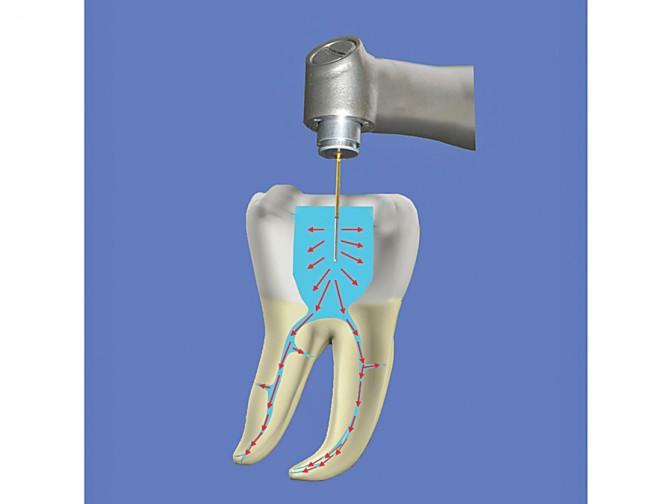 10027042681002704330 Oral Health Group