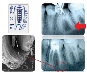 Ramos Figure 7 FIND article