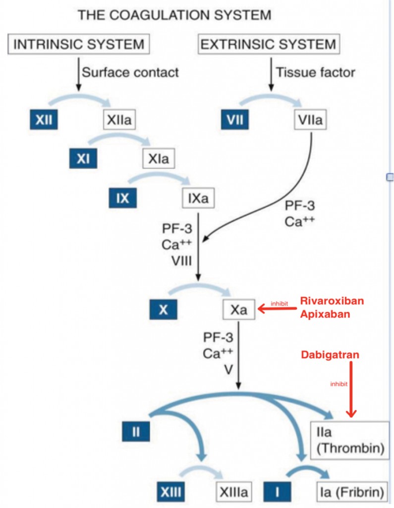 Brady Figure 2 - Oral Health Group