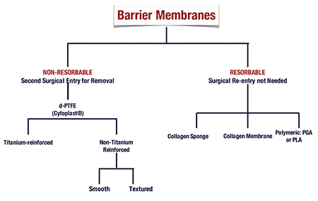 Biologic Barrier Membranes