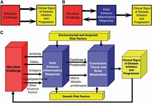 Periodontal disease is very cyclic