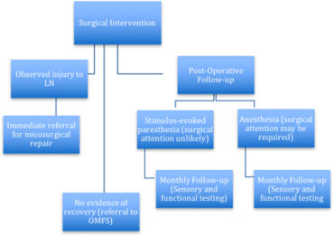Lingual Nerve Injury: Surgical Anatomy and Management