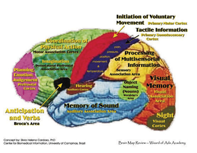 Examples of older brain function models based on theory of independent modules.