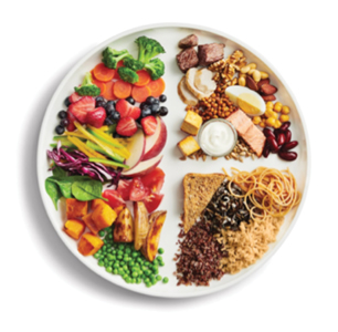 The Eat Well Plate is the visual associated with the updated Canada Food Guide.