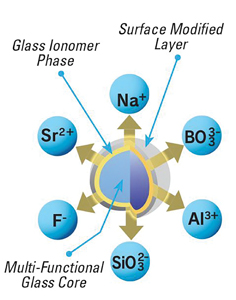 Giomers are based on a proprietary filler particle with 6 ions that have distinct biological benefits.