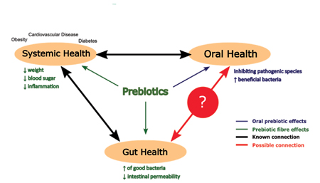 Prebiotics and microbial balance