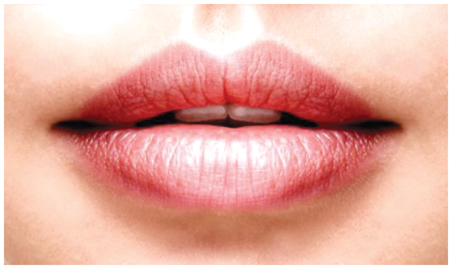 Structure Of Human Lips | Lipstutorial.org