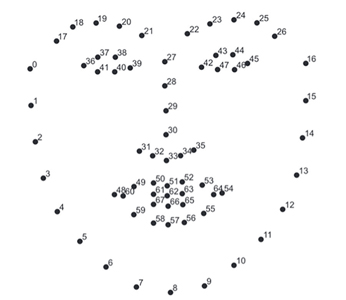 Landmarks analysed in orthognathic surgery patients. The Face X program (left) uses 68 landmarks. The Azure program (right) uses 27 landmarks.