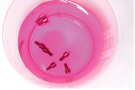 Soaking prosthetic screws in chlorhexidine 0.12%.