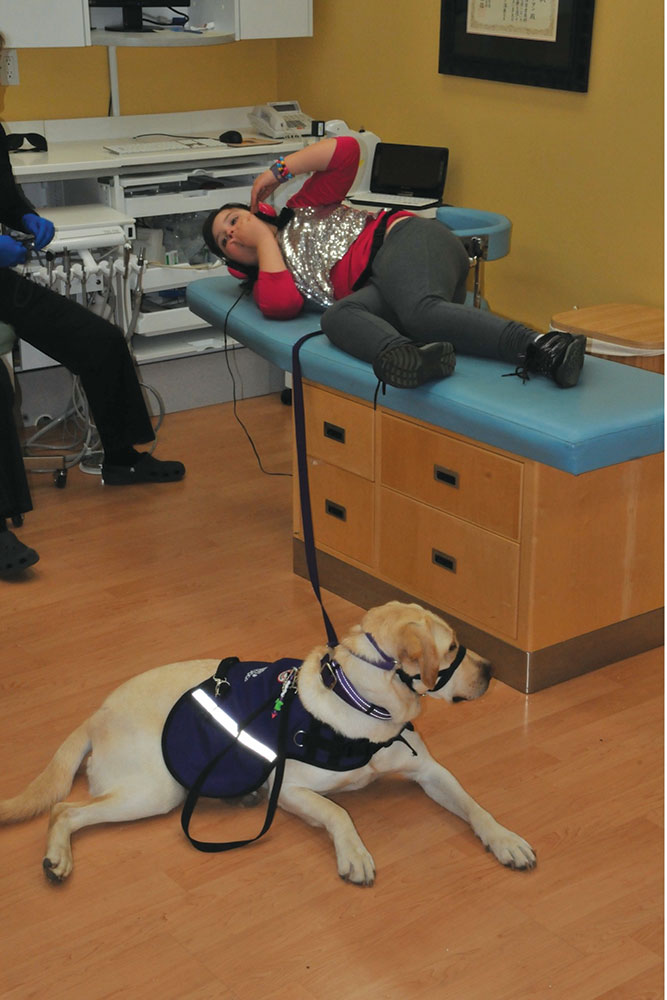 Use of support animals greatly reduces anxiety.