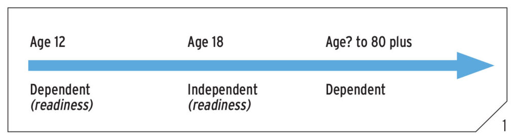 Transitions from phase to phase in the life cycle.