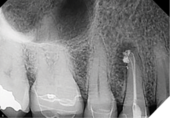 Case 2 by Dr. Brett E. Gilbert