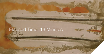 The isthmus block result after just 13 minutes when the vacuum was reversed to prevent cannula blockage, and found that the constant vacuum-drawn outflow through the end of the cannula radically increased dissolution speed.