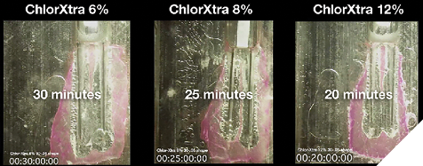 Isthmus research blocks displaying increases in dissolution time with increases in NaOCl concentration.