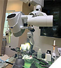 Isthmus block mounted in a PanaVise in front of a operating microscope connected to a digital video recorder.
