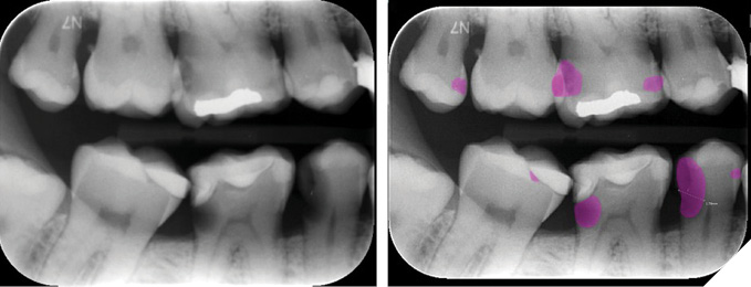  Photo courtesy: Rutgers School of Dental Medicine, Summer Research, 2023.