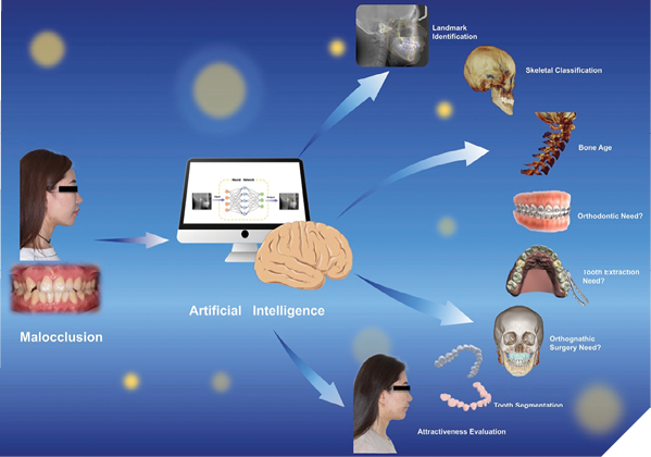 Photo courtesy: Jialing Liu et.al. 2021. 