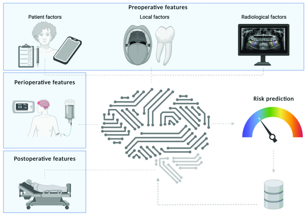 Possible areas of risk prediction machine learning applications in third molar surgery. A dynamic feedback model is exemplified. Dynamic feedback models in risk prediction machine learning are systems that learn to estimate potential risks or dangers by continuously updating their knowledge based on new information and adjusting their predictions accordingly. This helps them become better at predicting over time. The information that could be used to develop these models can be collected preoperatively by means of patient-reported outcomes (questionnaires, surveys, history taking), clinical examination features and radiological findings. In the perioperative setting combining vital parameters could be useful and postoperatively again patient-reported outcomes, pain scores, medication use, etcetera could be integrated in the model.