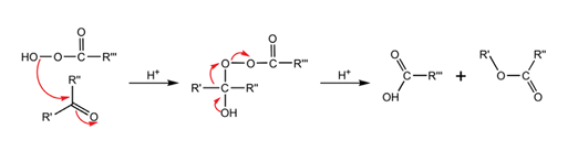 Baeyer-Villiger oxidation mechanism.