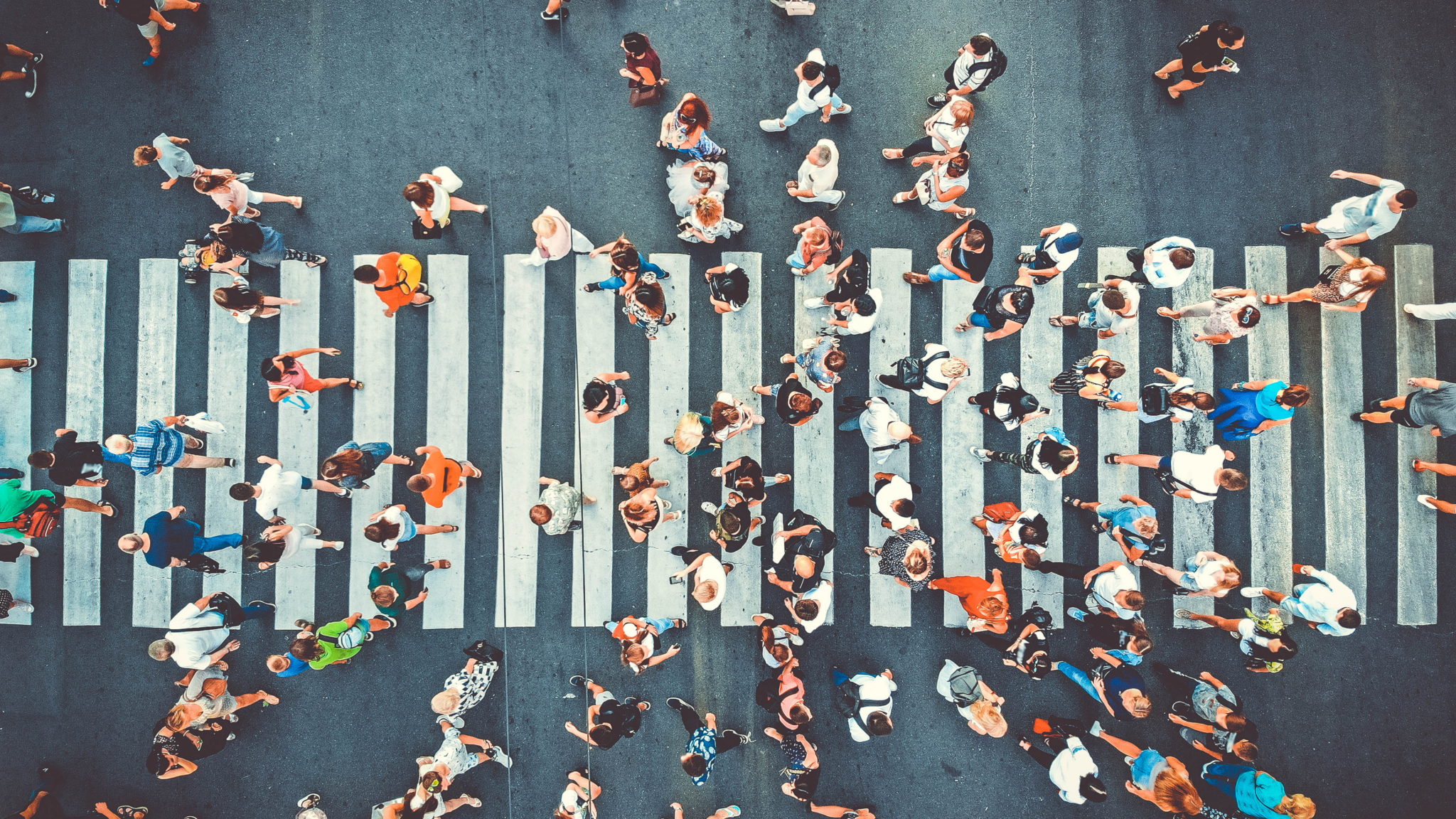 The rise in oral diseases due to growing and aging populations, along with urbanization worldwide, is driving rapid growth across various segments of the dental market.