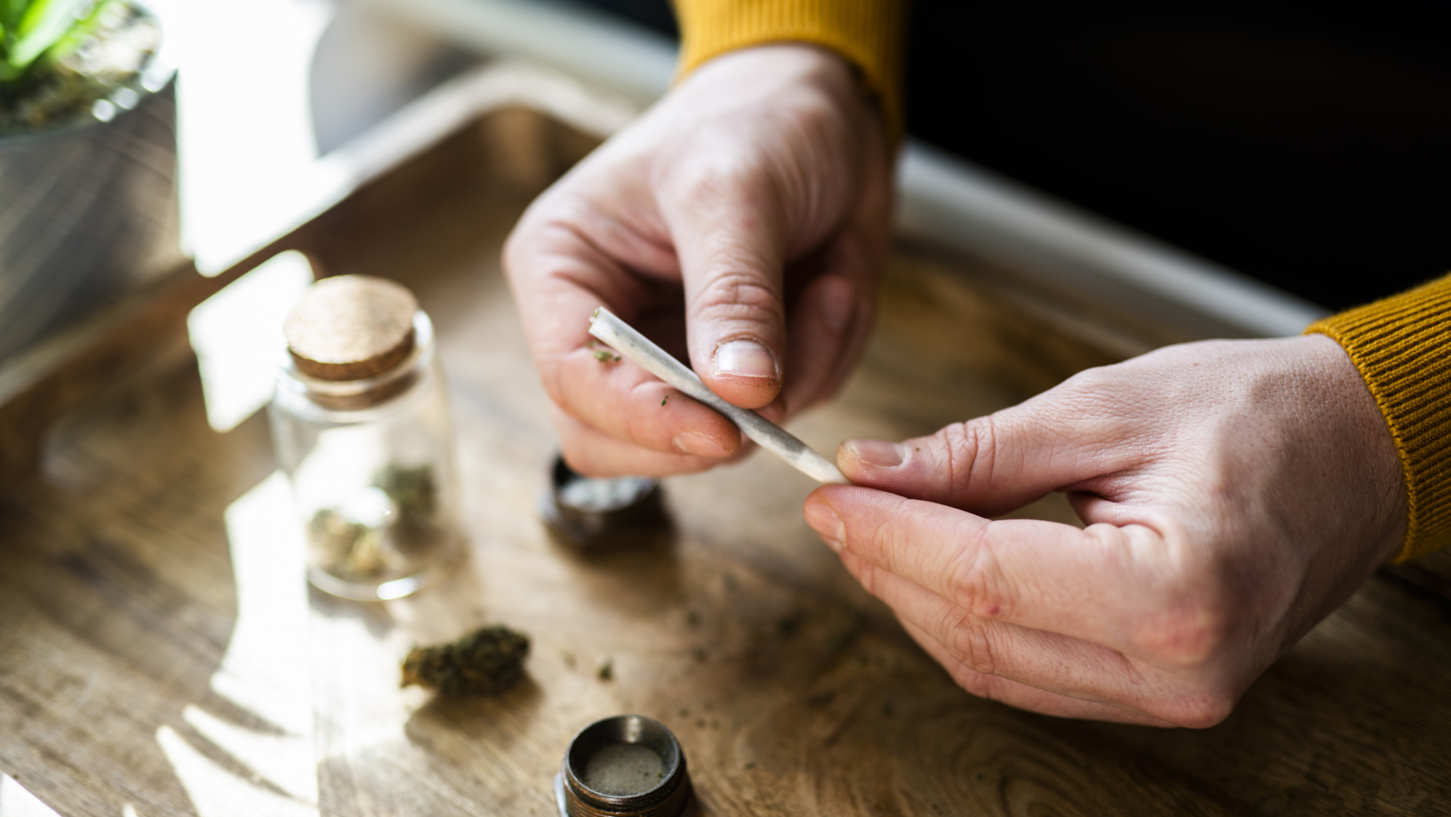 cannabis tooth loss