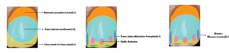 Shade mapping for Miyo stain application.