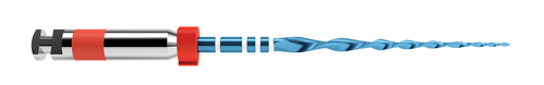Reciproc blue R25 (R25B), R40 and R50 instruments, paper point, gutta-percha cone, and carrier-based obturator.