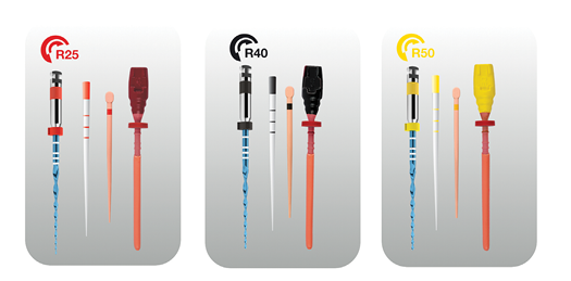 Reciproc blue R25 (R25B), R40 and R50 instruments, paper point, gutta-percha cone, and carrier-based obturator.