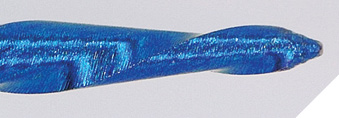 Reciproc blue R25 (R25B), R40 and R50 instruments, paper point, gutta-percha cone, and carrier-based obturator.