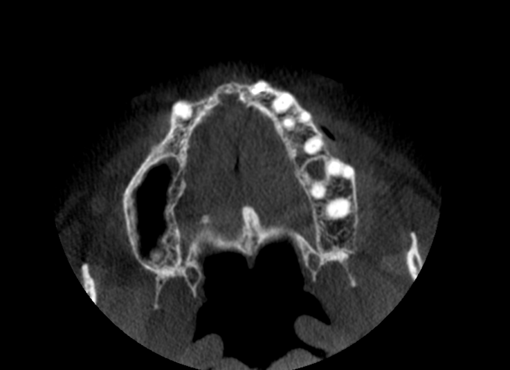 fig 7C 8A - Oral Health Group