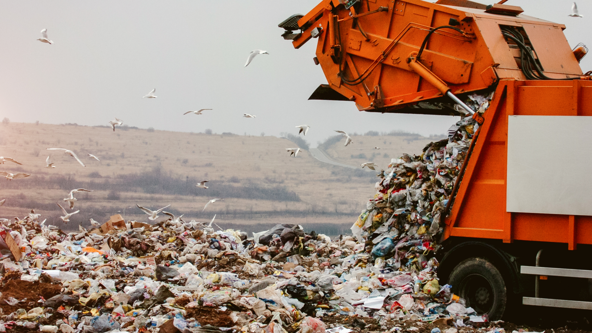 Only 9.5% of plastic is recycled worldwide, says the World Bank — the rest ends up in landfills and the environment.