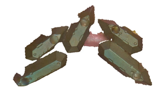 Nexus scan gauges were placed on the multi-unit abutment and scanned following the Nexus protocol.