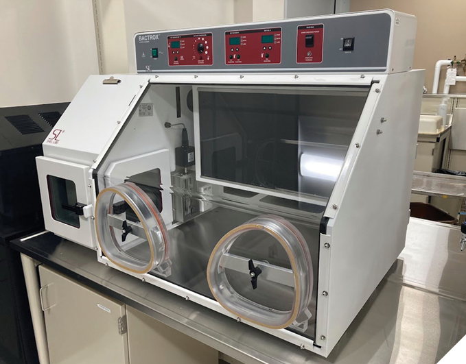 Bactrox Hypoxia/Microaerophilic chamber. Growing fungal isolates at varying oxygen concentrations will aid in identifying virulent forms of fungi and the signaling molecules involved in promoting ECC.