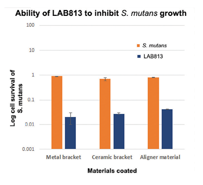 Ability of LAB813 to inhibit growth of S. mutans. LAB813 was capable of killing about 99% of 24-hour old S. mutans biofilms grown on metal and ceramic orthodontic brackets or on aligner materials (orange bars). When these orthodontic materials were first coated with LAB813 followed by addition of S. mutans, the inhibitory activities of LAB813 against
S. mutans went up to 99.5 - 99.9% (blue bars).
