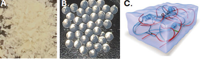 Different delivery formats of LAB813 in the form of A) powder, B) capsules, and C) gels.