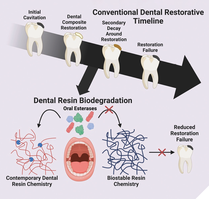 Role of NR chemistries in breaking the cycle of conventional MA-based RBRs.