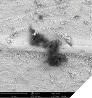 Images of a ceramic implant (SEM 500x + 2,500x) with particles of polysiloxanes caused by contact with the packaging; Advanced analytical techniques identified additional thin-film contamination with a cell-toxic quaternary ammonium compound.