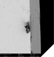 SEM images in 500x and 2,500x showing significant organic impurities.