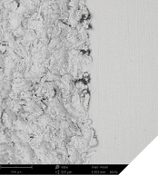 SEM Mapping image of an implant (made in the USA) with detail enlargements (1,000x and 5,000x); The apical region shows plastic residuals that will be inserted into the implant site.