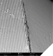  SEM images in 500x and 2,500x with EDS analysis result showing a fluorocarbon-based contamination (implant system from the USA).