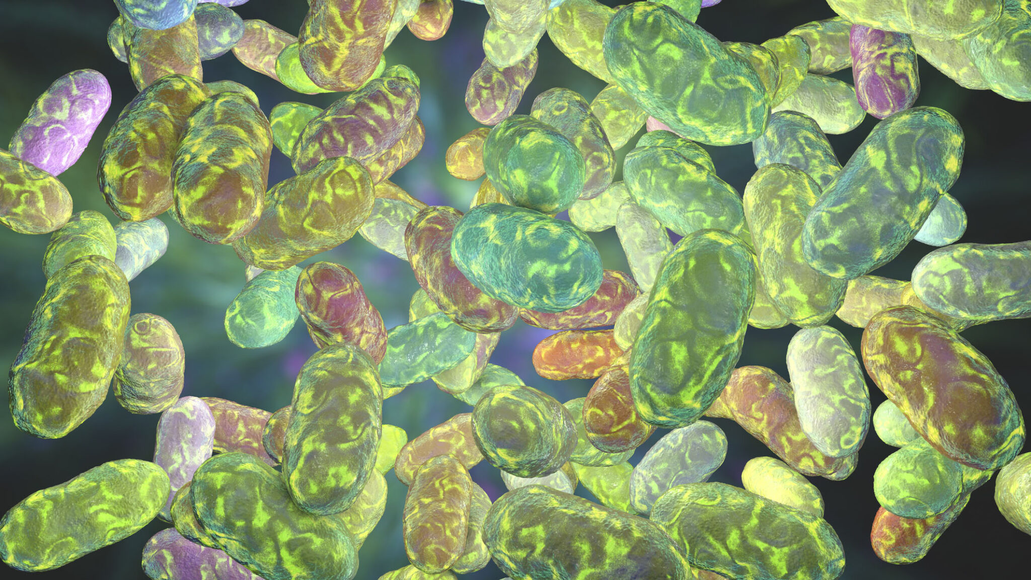 Dental researchers target bacterial communication to shape healthier oral microbiomes