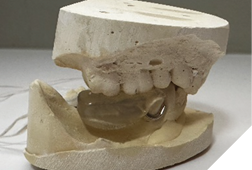 Gelb appliance on model.