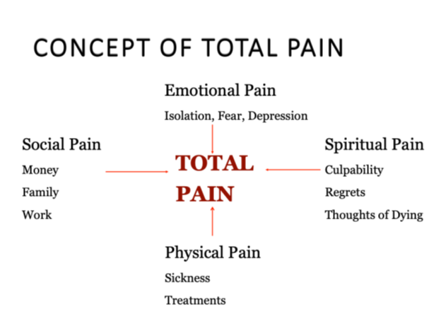 Concept of Total Pain