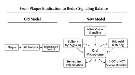 Conceptual shift from a plaque-eradication model of dentistry to a redox-signaling model in which the oral microbiome regulates key host biochemical pathways. 