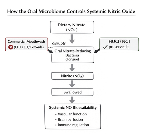 The oral nitrate-reducing microbiome as a critical mediator of systemic nitric oxide bioavailability, preserved by HOCl/NCT and disrupted by conventional antiseptic mouthwashes.