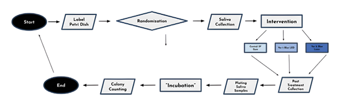 Experimental Methodology Flowchart. Note: Flowchart outlines the experimental process, from sample preparation to bacterial quantification, treatment allocation, etc for antimicrobial analysis.